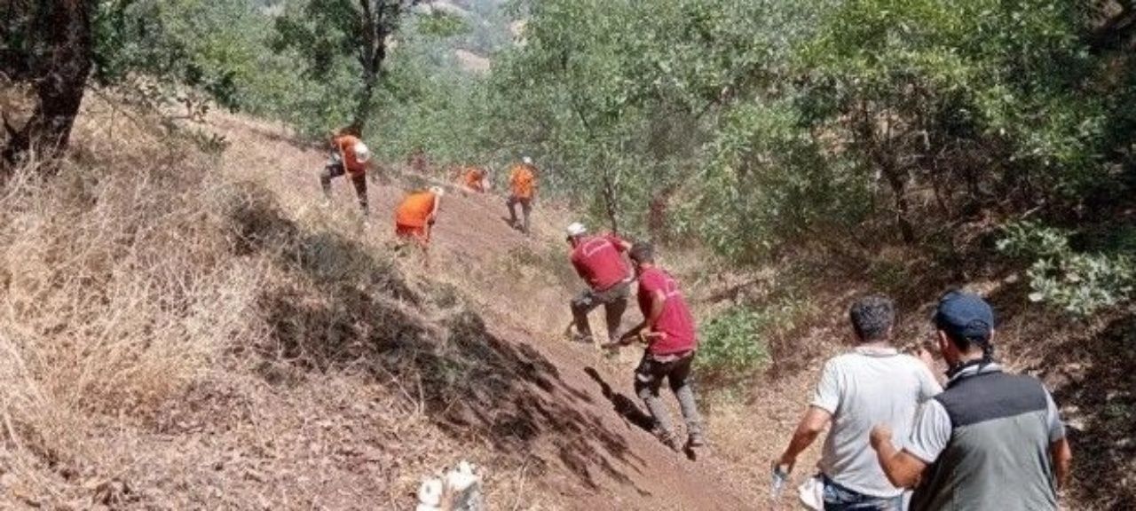 Ciğerlerimiz yanıyor! 7 ilde orman yangını 14