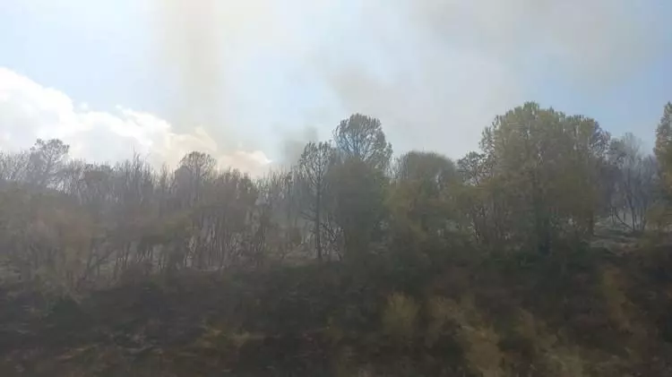 Çanakkale'de yüreğimiz yanıyor!  İşte yangın felaketinin dehşet verici görüntüleri... 15