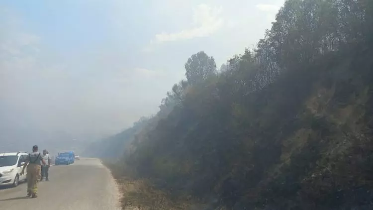 Çanakkale'de yüreğimiz yanıyor!  İşte yangın felaketinin dehşet verici görüntüleri... 17