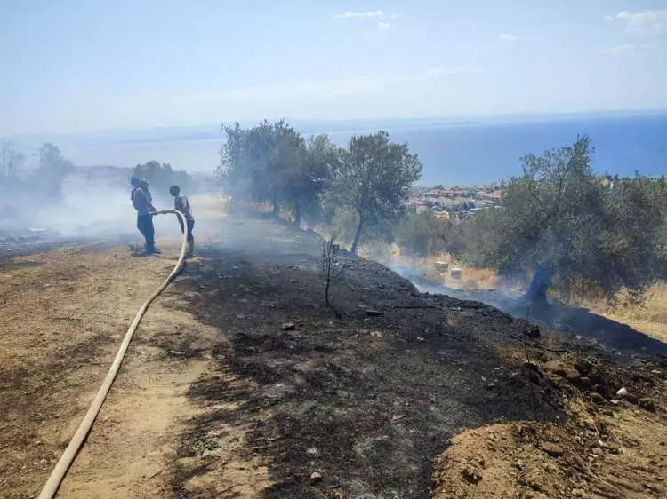 Çanakkale'de yüreğimiz yanıyor!  İşte yangın felaketinin dehşet verici görüntüleri... 18