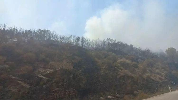 Çanakkale'de yüreğimiz yanıyor!  İşte yangın felaketinin dehşet verici görüntüleri... 4