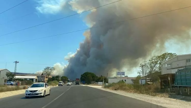 Çanakkale'de yüreğimiz yanıyor!  İşte yangın felaketinin dehşet verici görüntüleri... 5