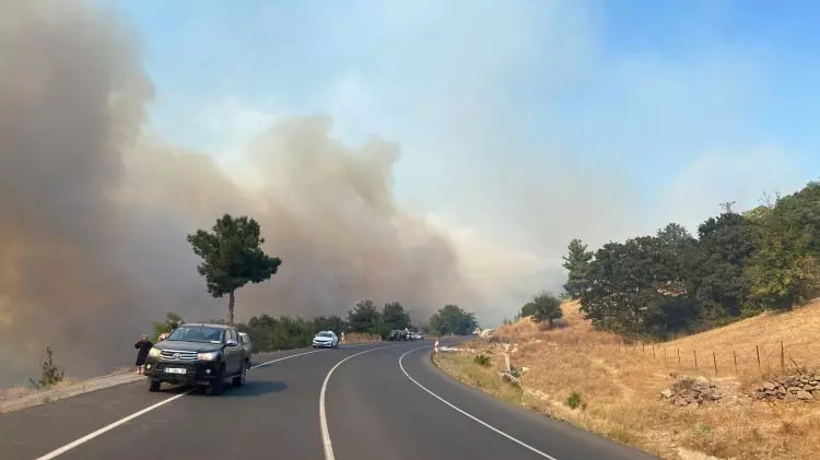 Çanakkale'de yüreğimiz yanıyor!  İşte yangın felaketinin dehşet verici görüntüleri... 7
