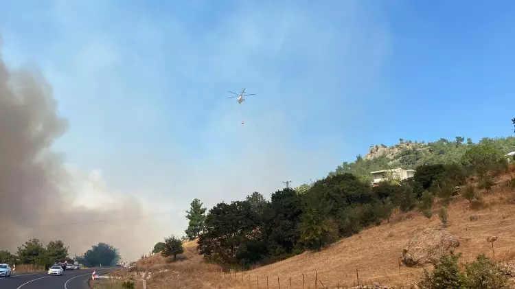 Çanakkale'de yüreğimiz yanıyor!  İşte yangın felaketinin dehşet verici görüntüleri... 8