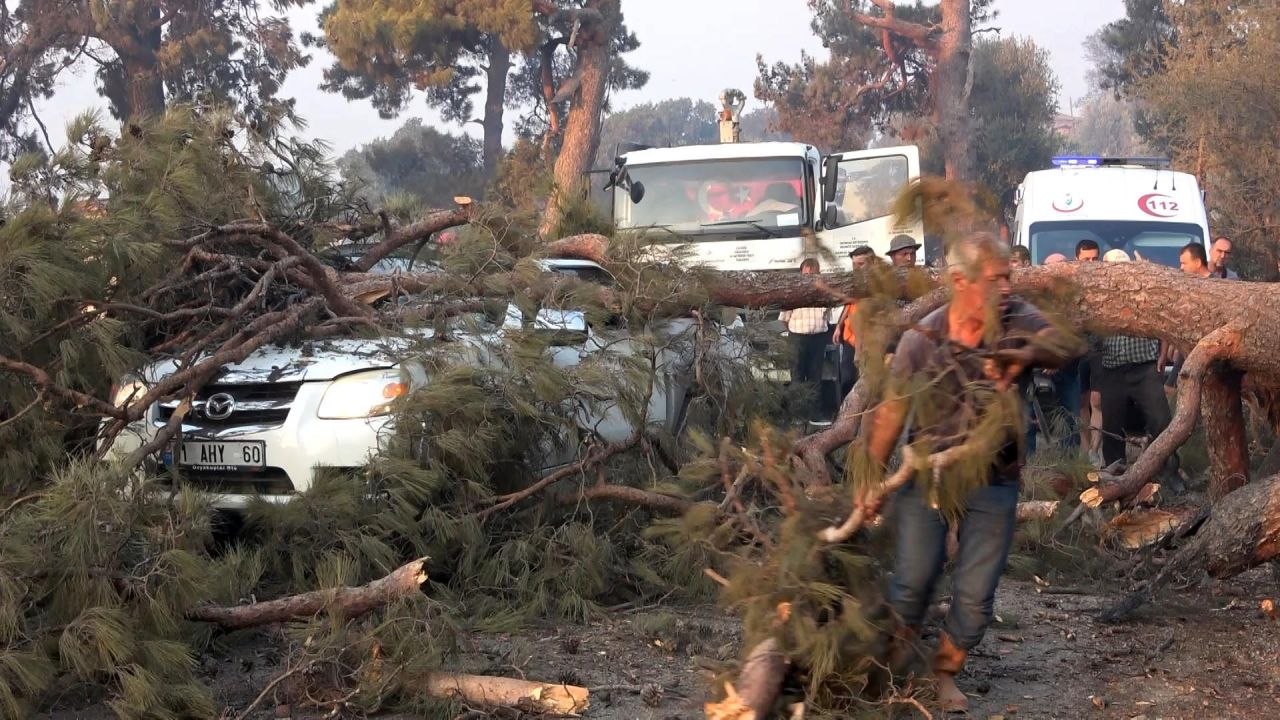 Çanakkale'de orman yangını! Alevlere müdahale eden görevlinin üzerine ağaç devrildi 3