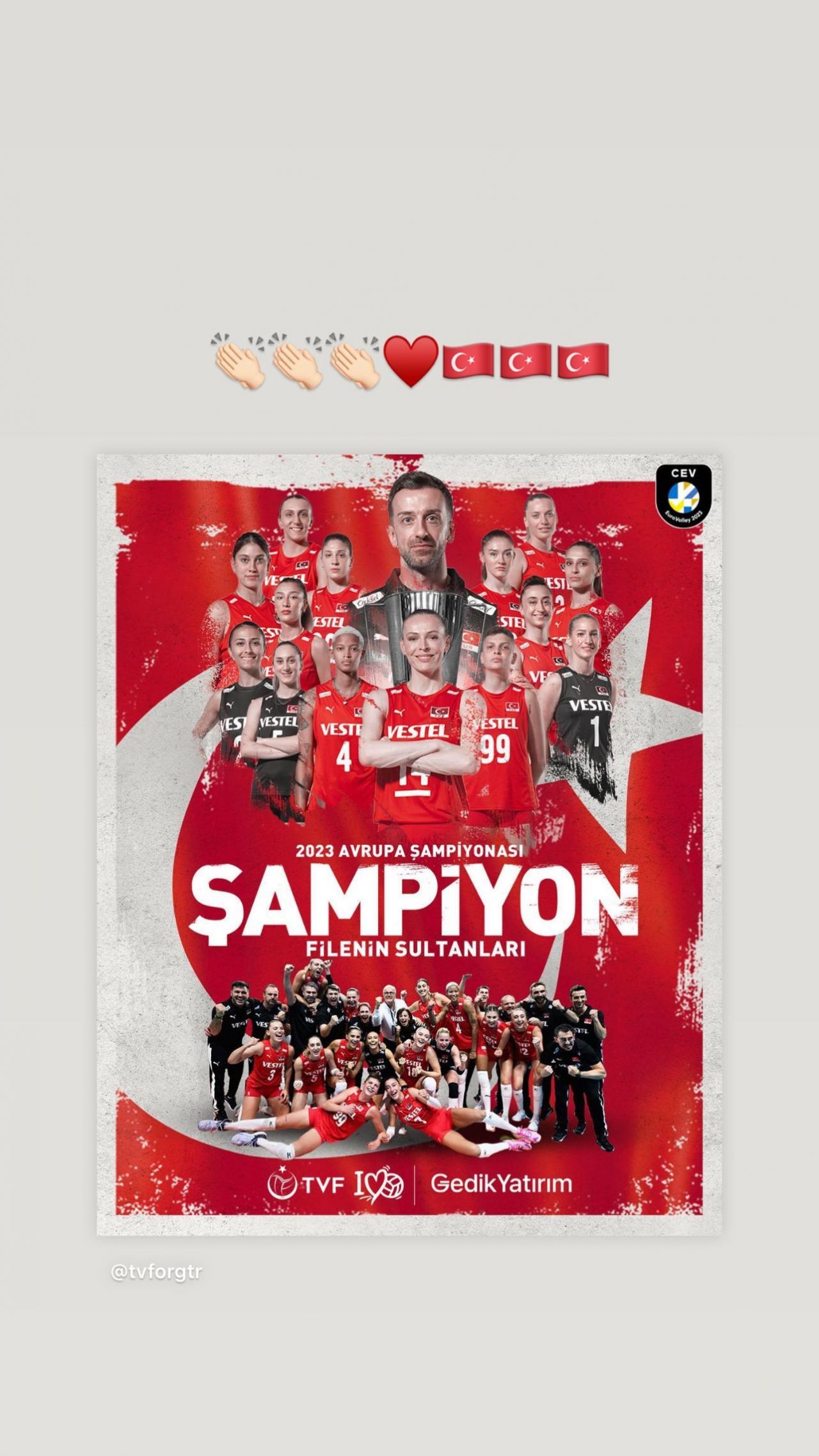 Ünlülerden Avrupa şampiyonu olan A Milli Kadın Voleybol Takımı'na tebrik mesajları! 15