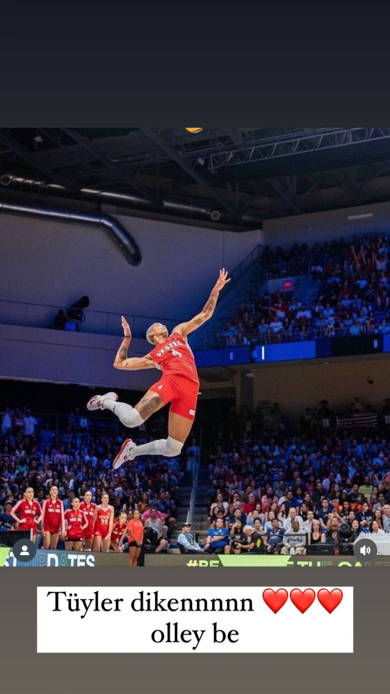 Ünlülerden Avrupa şampiyonu olan A Milli Kadın Voleybol Takımı'na tebrik mesajları! 9