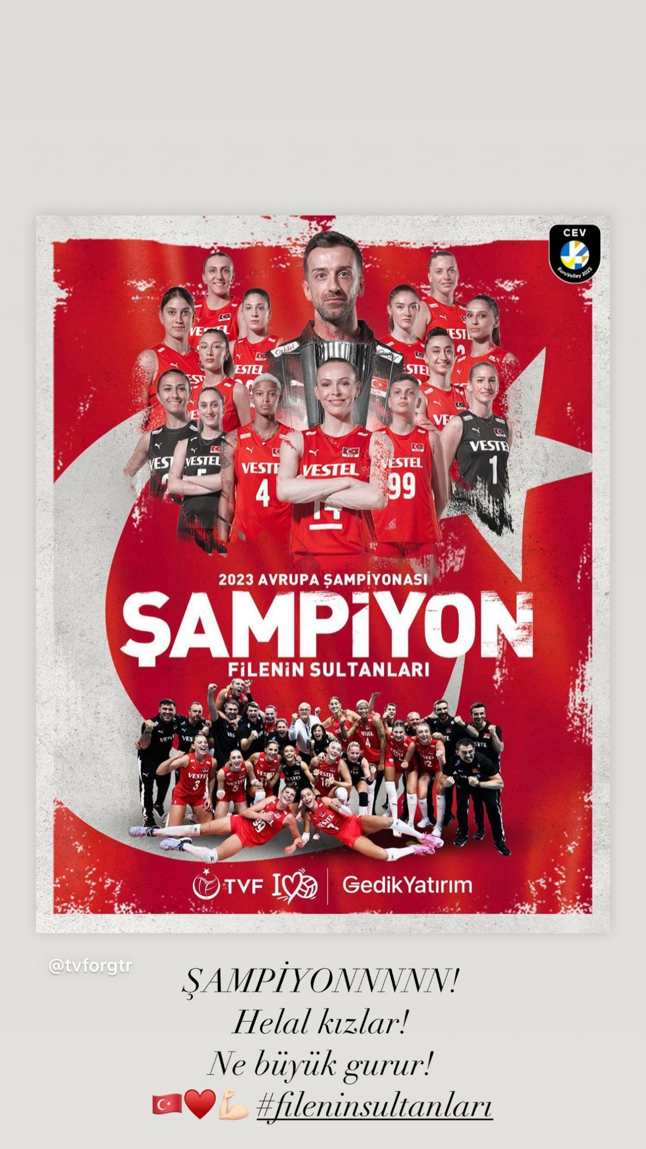 Ünlülerden Avrupa şampiyonu olan A Milli Kadın Voleybol Takımı'na tebrik mesajları! 12