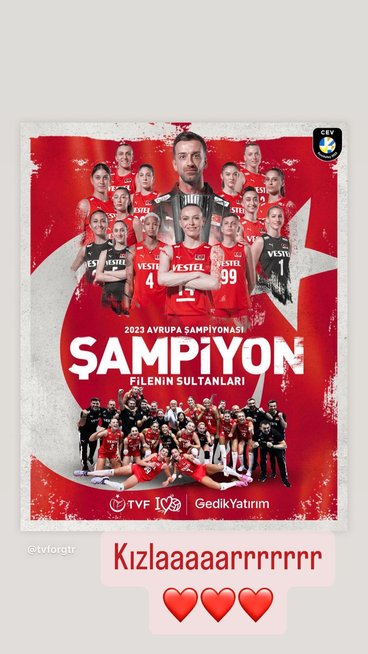 Ünlülerden Avrupa şampiyonu olan A Milli Kadın Voleybol Takımı'na tebrik mesajları! 7
