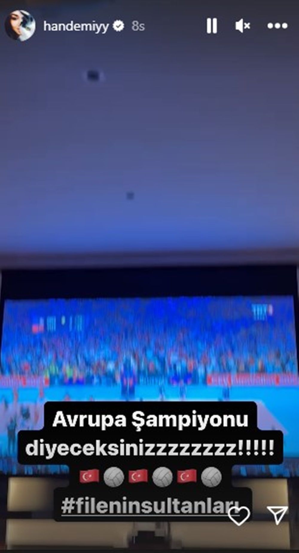 Ünlülerden Avrupa şampiyonu olan A Milli Kadın Voleybol Takımı'na tebrik mesajları! 4