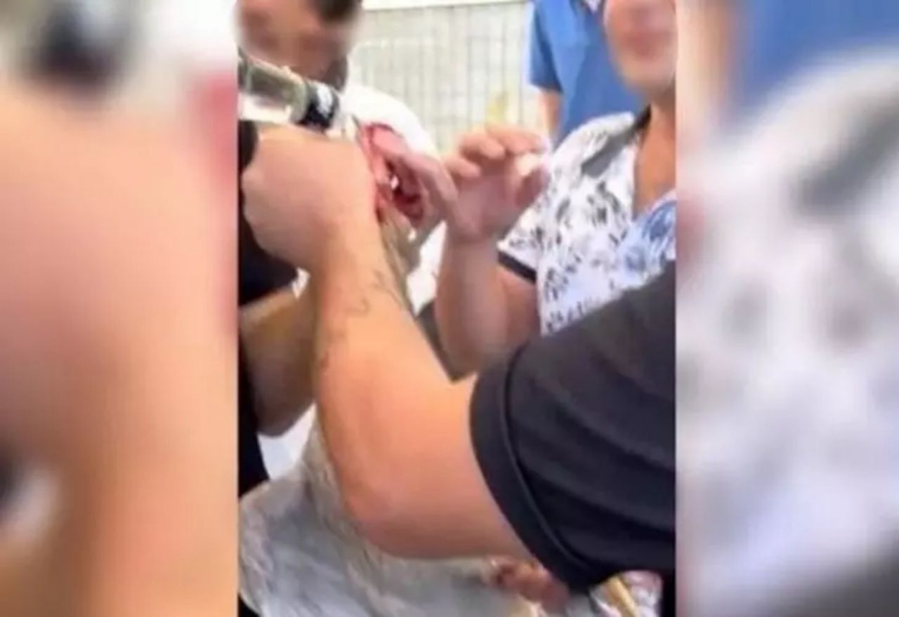 Denizli'de düğünde akılalmaz olay: Horoza içki içirip eziyet ettiler! Cezasız kalmadı... 3