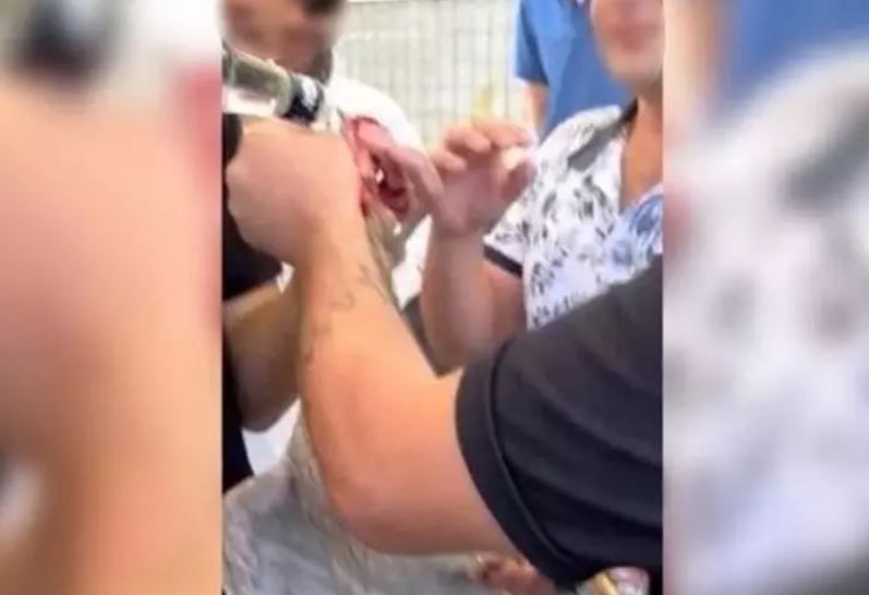 Denizli'de düğünde akılalmaz olay: Horoza içki içirip eziyet ettiler! Cezasız kalmadı... 1