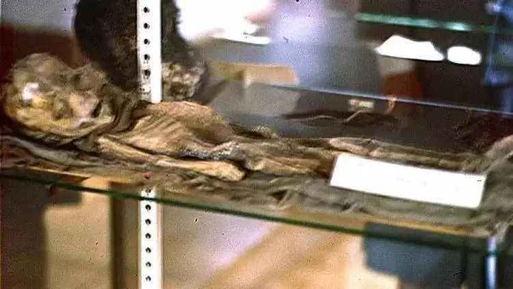 Meksika'daki 'uzaylı cesetleri' ile ilgili bomba gerçek ortaya çıktı! Meğer toplamaymış.... 1