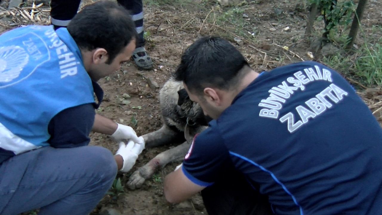 Yer: Arnavutköy! Sel bastı işçiler mahsur kaldı 3