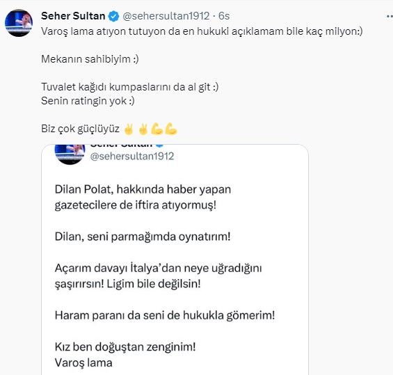 Seher Yaşayacak, Dilan Polat'ın vergi kaçırdığını iddia edince ortalık fena karıştı! 13