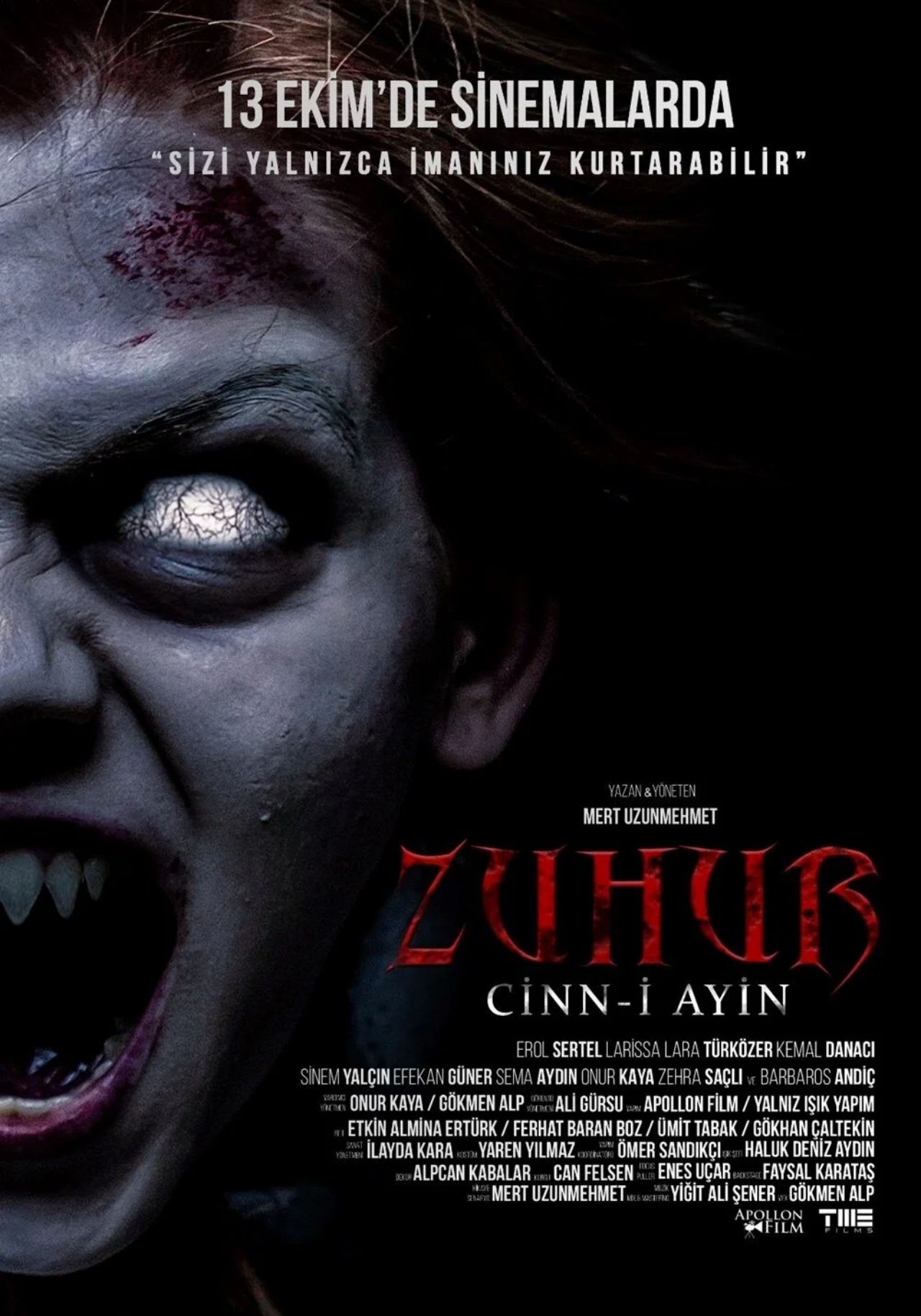 Sinema salonlarında bu hafta beşi yerli, 12 film vizyona giriyor! İşte haftanın filmleri 4