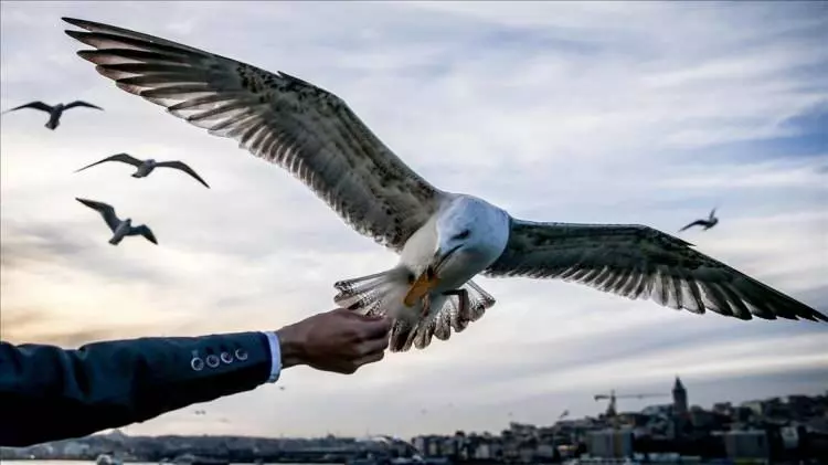 Meteoroloji uzmanı açıkladı: Yarın başlıyor, yurt geneline yayılıyor! 3