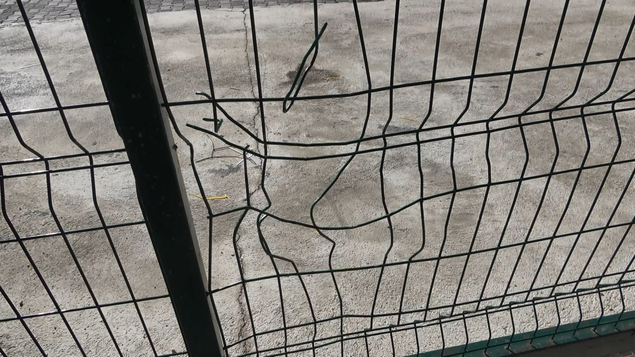 Uludağ'da aç kalan ayılar dükkanları bastı! Ne var ne yok yiyen ayılar esnafı şoke etti 8