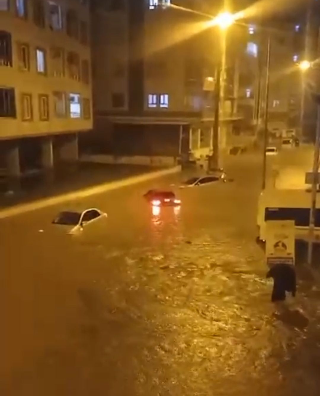 Batman ve Diyarbakır'da sel felaketi! Bakan Yerlikaya acı bilançoyu paylaştı! Ölü sayısı 9'a yükseldi 4