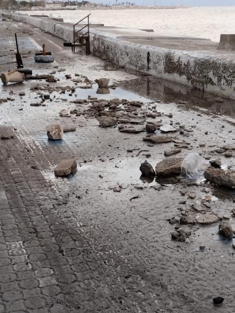 Fırtına sonrası karaya vurdu: Görenler şaşkın 3