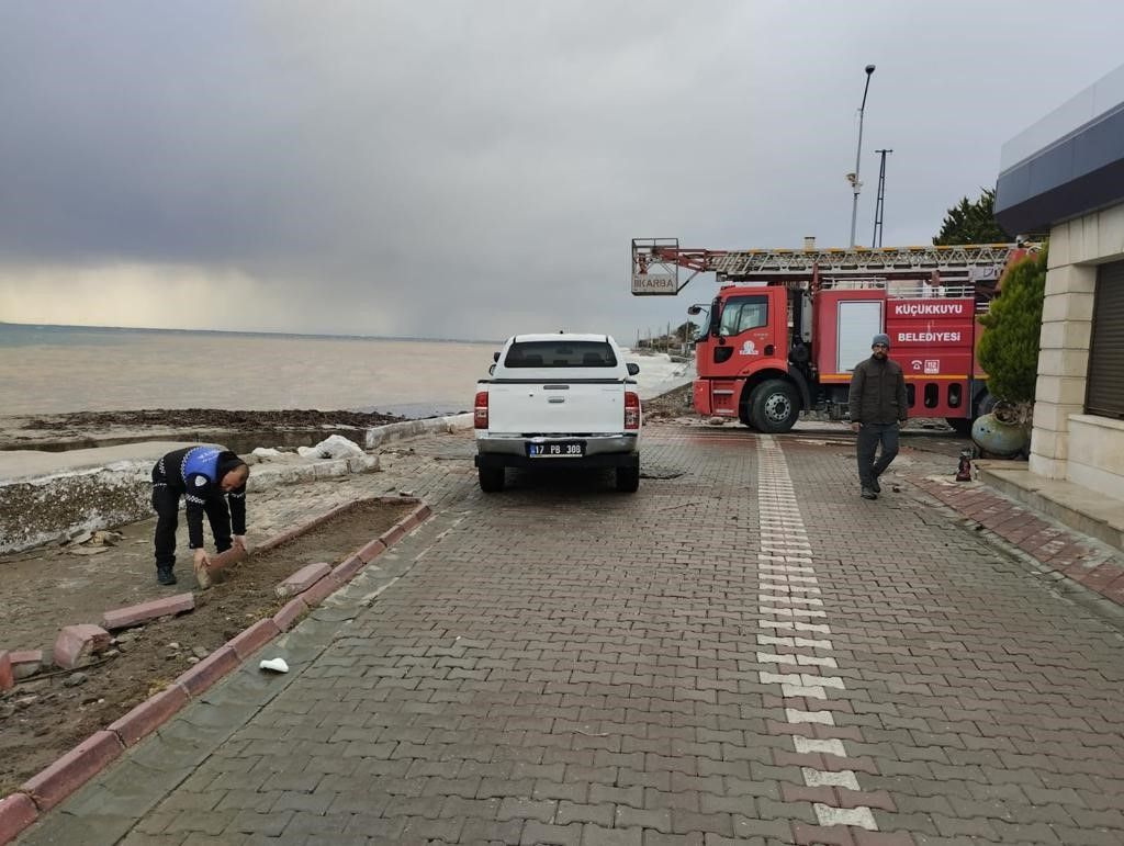 Fırtına sonrası karaya vurdu: Görenler şaşkın 4