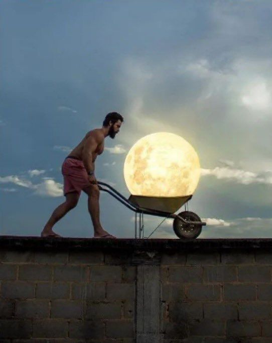 Ayı çalan adam büyük beğeni topladı! Ünlü fotoğraf sanatçından muazzam kareler... 1