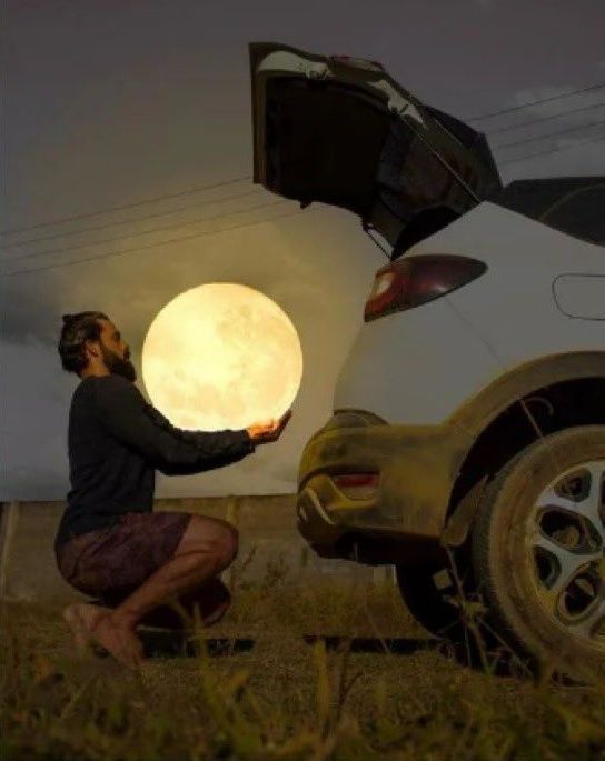 Ayı çalan adam büyük beğeni topladı! Ünlü fotoğraf sanatçından muazzam kareler... 2