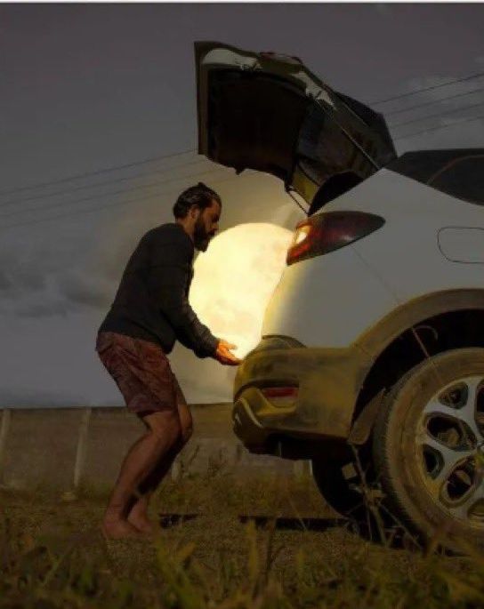 Ayı çalan adam büyük beğeni topladı! Ünlü fotoğraf sanatçından muazzam kareler... 3