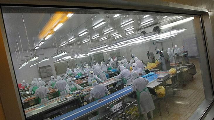 Kuş gribi alarmı! 72 bin kümes hayvanı itlaf edilecek 10