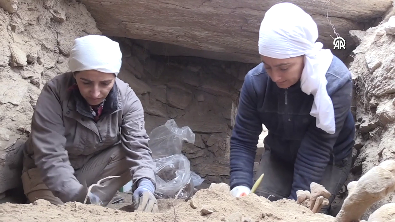 Van Nekropol alandaki iskeletlerde "beyin ameliyatı" izine rastlandı 3