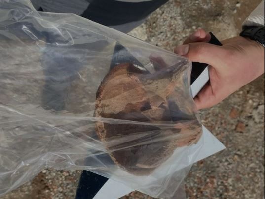Evinin bahçesi çöktü, altından çıkanlar şoke etti! Roma döneminden kalma... 1