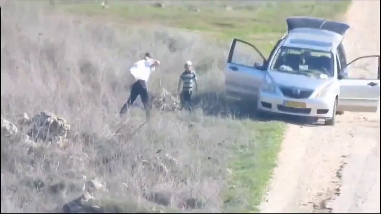 Yahudi yerleşimciler İsrail askerlerinin eşliğinde Filistinlilerin zeytinliklerini talan etti 5