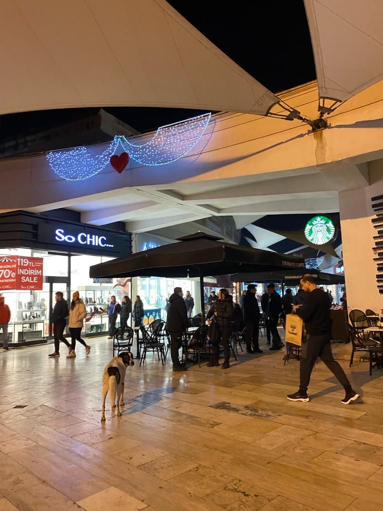 Pendik Starbucks'ta 'boykot' dedi dehşet saçtı! Saldırgan bir kişiyi bıçakladı! | SüperHaber Özel 3