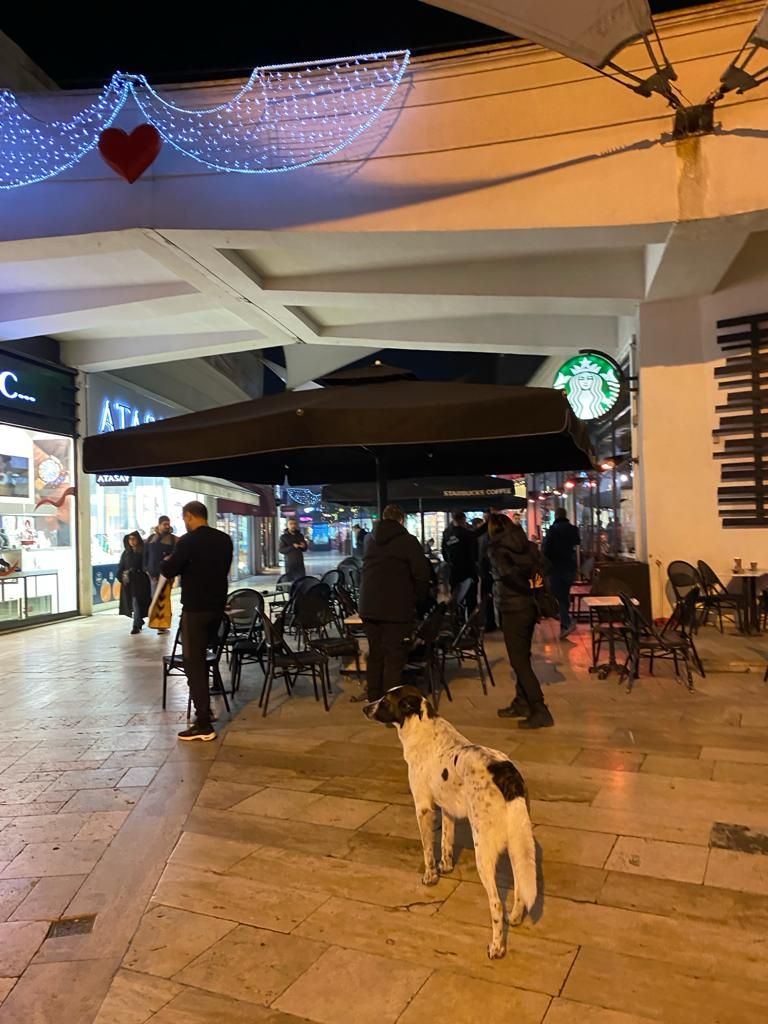 Pendik Starbucks'ta 'boykot' dedi dehşet saçtı! Saldırgan bir kişiyi bıçakladı! | SüperHaber Özel 1