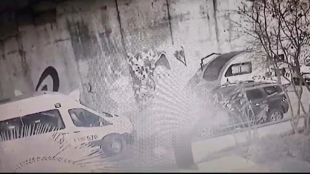 Kadıköy'de öğrenci servisi kaçıran şüpheli ile ilgili akılalmaz detay! Cumhurbaşkanlığı Külliyesi'ne girmeye çalıştı... 1