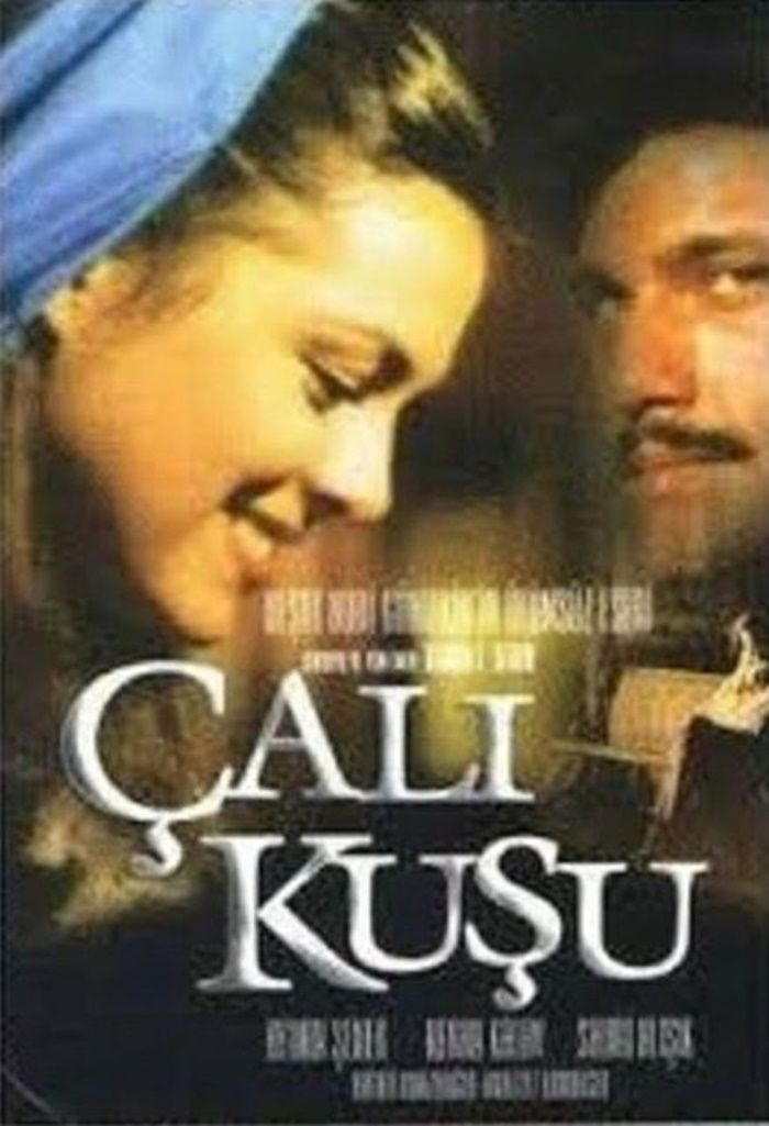IMDb, tüm zamanların en iyi Türk dizilerini açıkladı 8