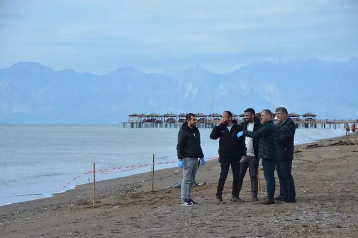 Gizemli ceset kabusu büyüyor! Antalya'da 2, Muğla'da 1 ceset daha bulundu: Cinsiyetleri bile teşhis edilemiyor... 2
