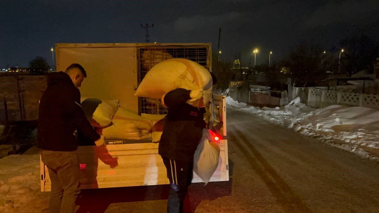 Bolu’da aç kalan yılkı atları şehir merkezine indi 1