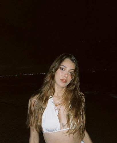 Pozları olay olmuştu! Dilan Çiçek Deniz'den estetik itirafı! 4