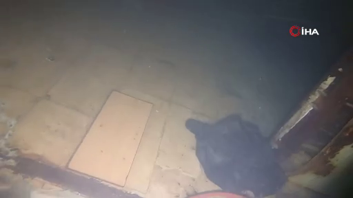 4 mürettebat hala aranıyor! Marmara Denizi'nde batan gemiye 35'inci dalış gerçekleşti! 4