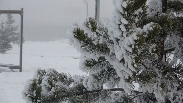 Ardahan'da dondurucu soğuk! Şehir sıfırın altında 23 derece ile buz tuttu 6