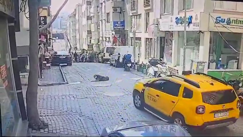 Balıkesir'de kan donduran olay: Uyuyan köpeği aracıyla ezerek öldürdü yoluna devam etti! İşte o anlar! 5
