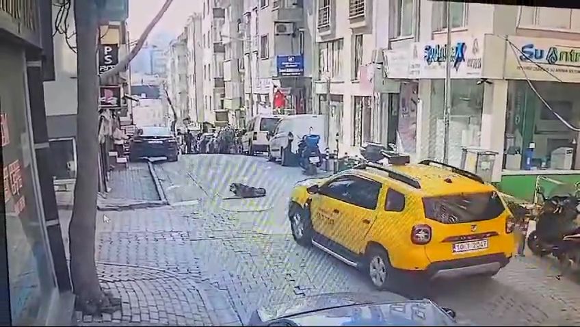 Balıkesir'de kan donduran olay: Uyuyan köpeği aracıyla ezerek öldürdü yoluna devam etti! İşte o anlar! 6
