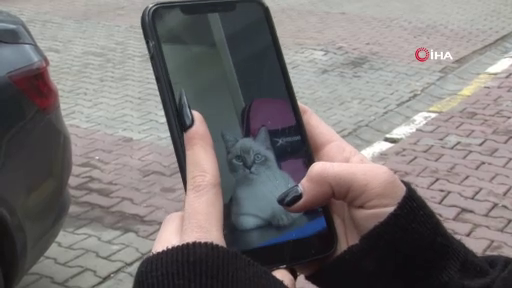 Veterinerde olay çıkmıştı! Sosyal medya fenomeni Nurseli Aksoy o anları anlattı! 1
