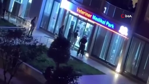Veterinerde olay çıkmıştı! Sosyal medya fenomeni Nurseli Aksoy o anları anlattı! 10
