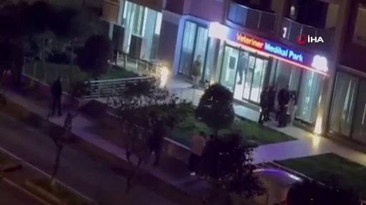 Veterinerde olay çıkmıştı! Sosyal medya fenomeni Nurseli Aksoy o anları anlattı! 11