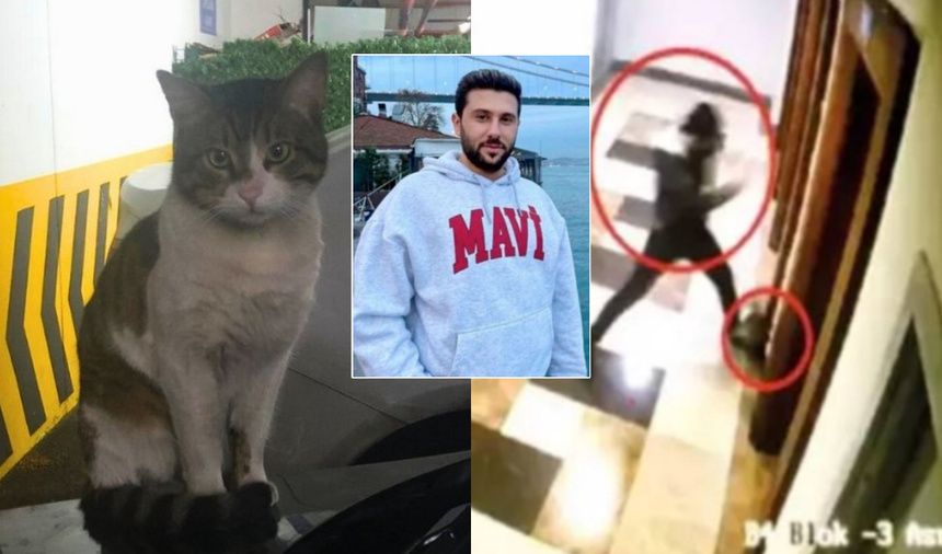 Kedi Eros'un katilinin serbest bırakılmasına sanat dünyasından tepki yağdı! 1