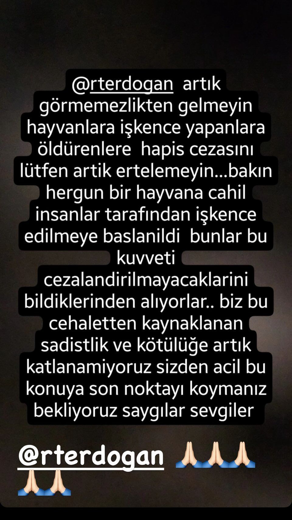 Kedi Eros'un katilinin serbest bırakılmasına sanat dünyasından tepki yağdı! 2