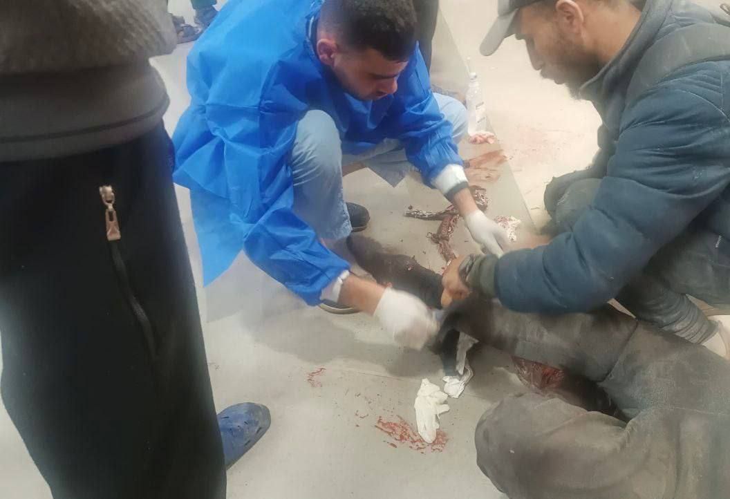 İsrail yine yardım bekleyen Filistinlileri vurdu: 20 ölü, 155 yaralı var! 2