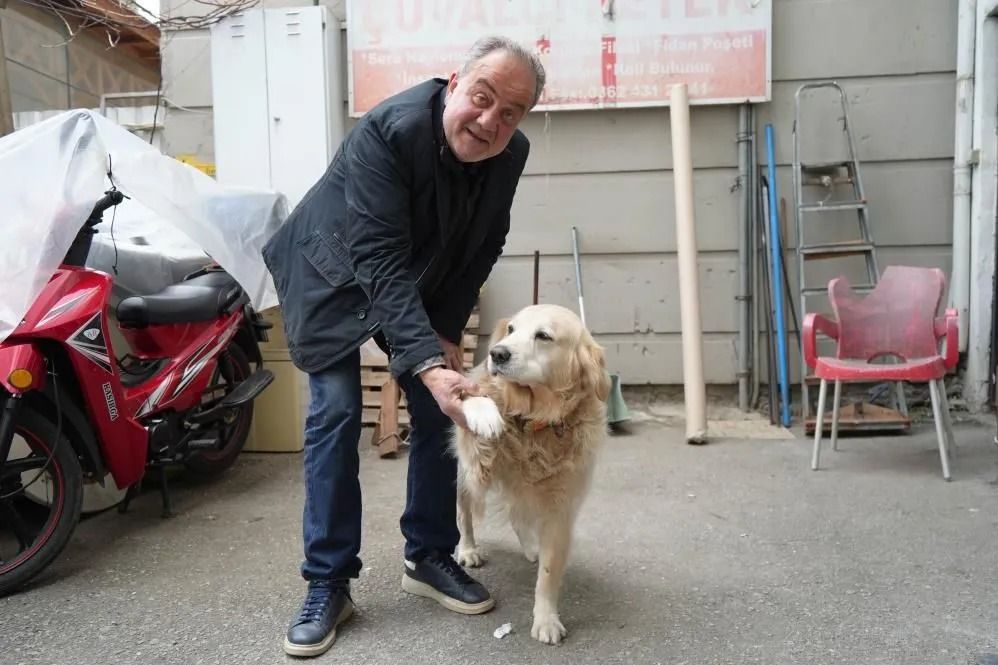 Köpeğin doktora havlaması sahibine 700 bin TL'ye patladı 1